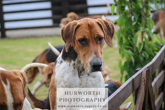 Hunter Hunt 181