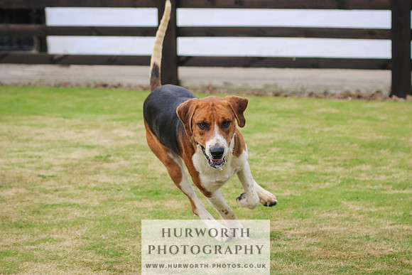 Hunter Hunt 044