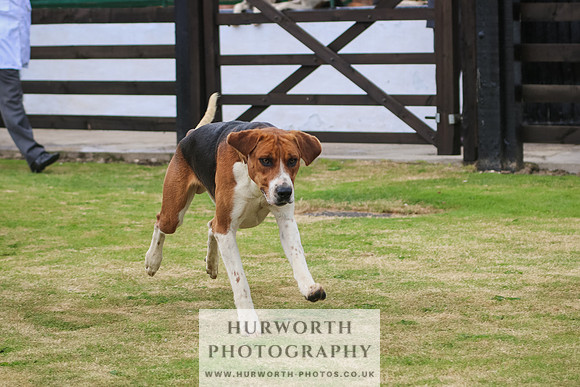 Hunter Hunt 046