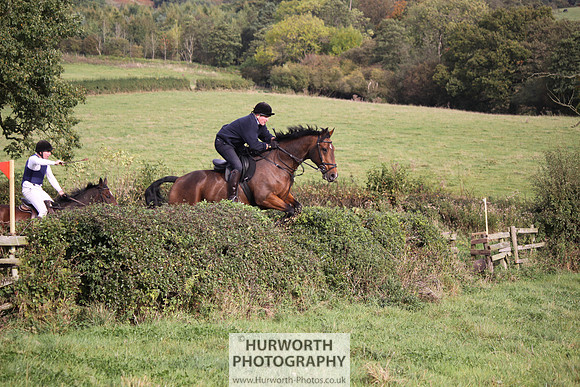 Hurworth Bilsdale Hedge Hop 656