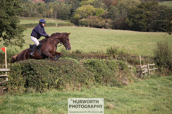 Hurworth Bilsdale Hedge Hop 652