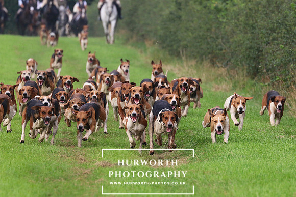 Hurworth Hunt 426