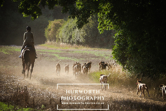 Hurworth Hunt 002