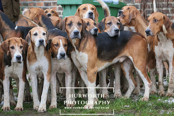 Hurworth Hunt 025