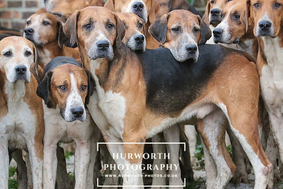 Hurworth Hunt 023