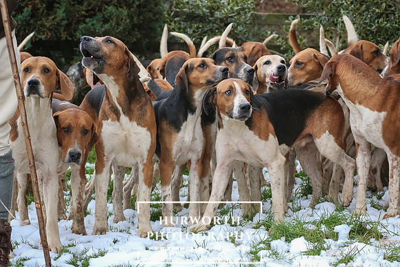Hurworth Hunt 004
