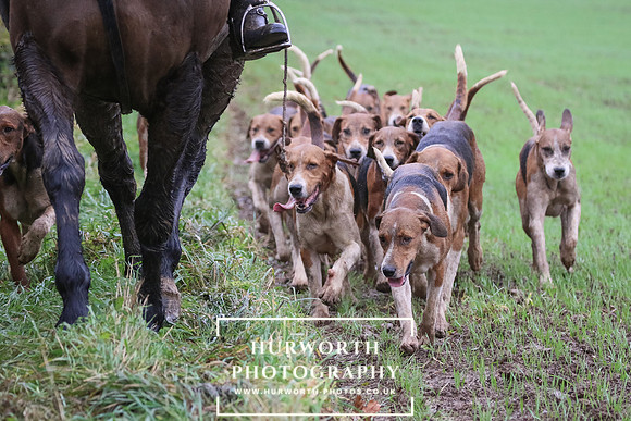 Hurworth Hunt  250