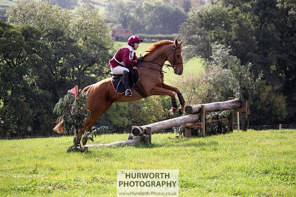 Hurworth Bilsdale Hedge Hop 153
