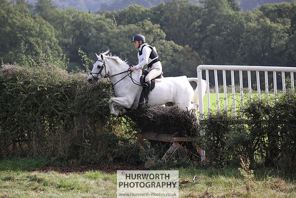 Hurworth Bilsdale Hedge Hop 561