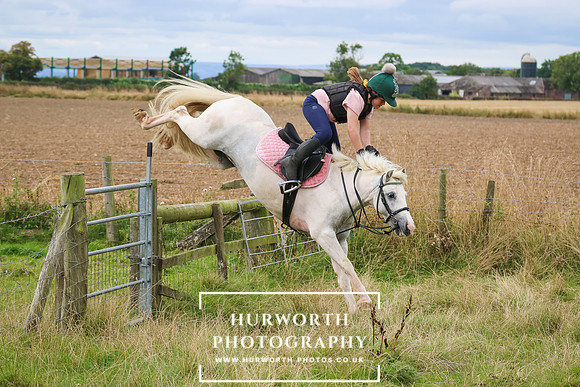 Hurworth Pleasure Ride 168