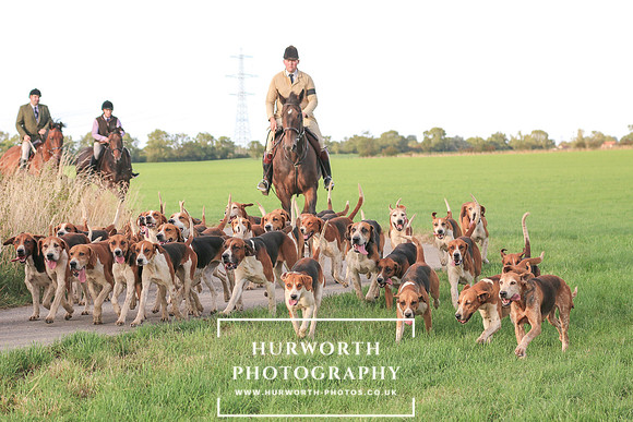 Hurworth Hunt 229