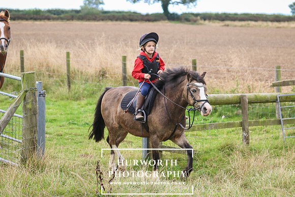 Hurworth Pleasure Ride 310