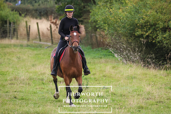 Hurworth Pleasure Ride 352