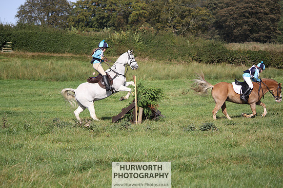 Hurworth Bilsdale Hedge Hop 338
