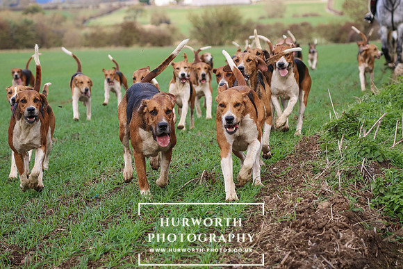 Hurworth Hunt 241