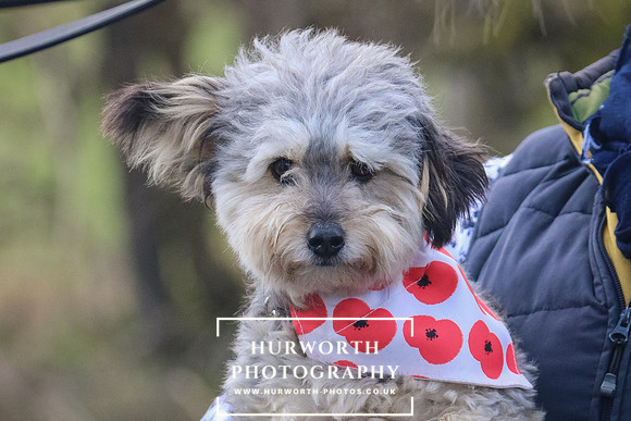 Hurworth Hunt 043