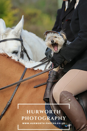 Hurworth Hunt 038