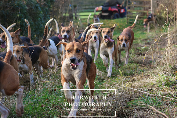 Hurworth Hunt 169
