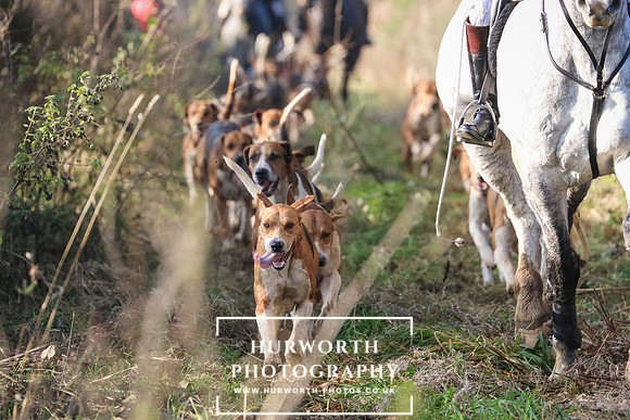 Hurworth Hunt 213