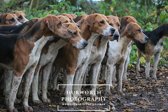 Hurworth Hunt 327