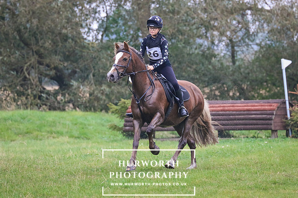 Hurworth Hunter Trial 173