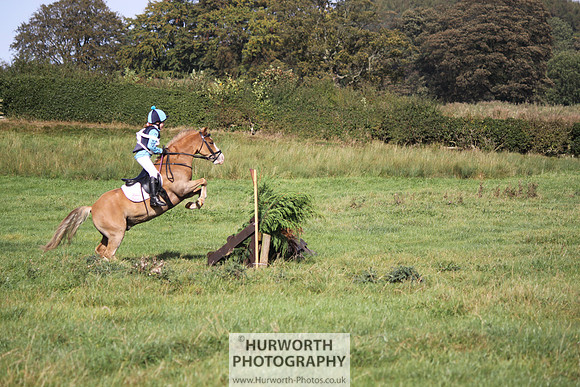 Hurworth Bilsdale Hedge Hop 335