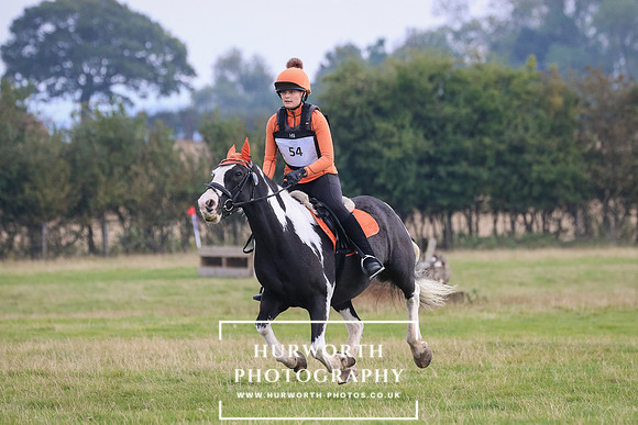 Hurworth Hunter Trial 207