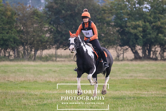 Hurworth Hunter Trial 205