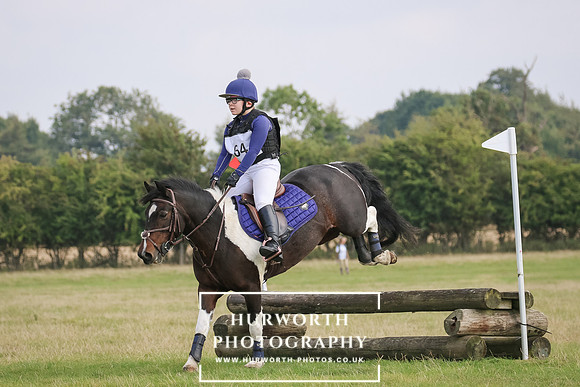 Hurworth Hunter Trial 295