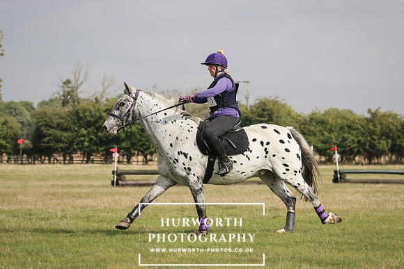 Hurworth Hunter Trial 307