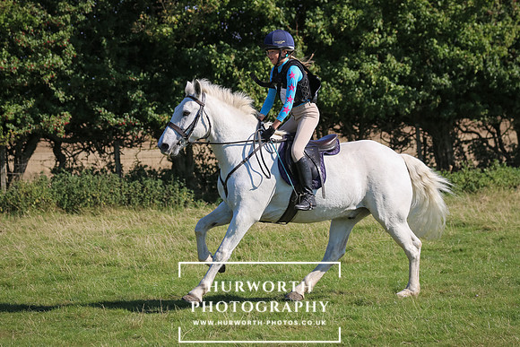 Hurworth Hunter Trial 209