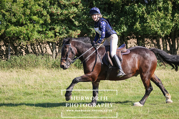 Hurworth Hunter Trial 223