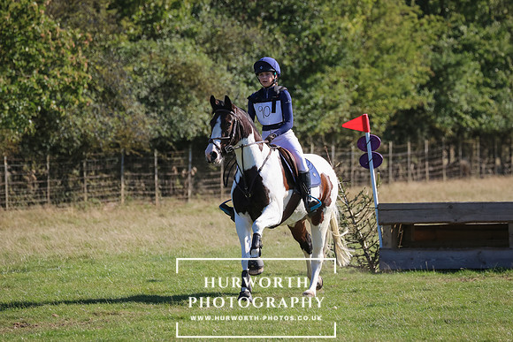 Hurworth Hunter Trial 260