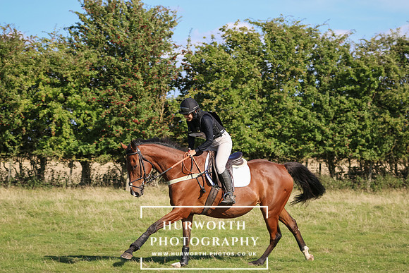 Hurworth Hunter Trial 319