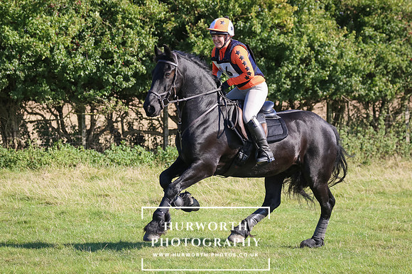 Hurworth Hunter Trial 331