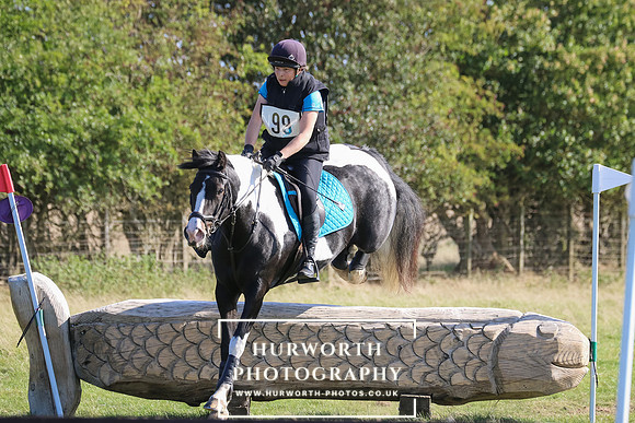 Hurworth Hunter Trial 371
