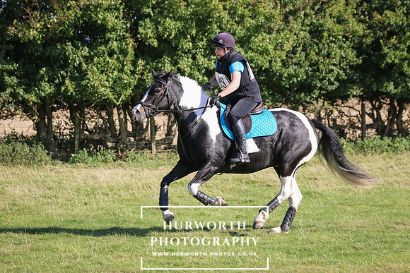 Hurworth Hunter Trial 377