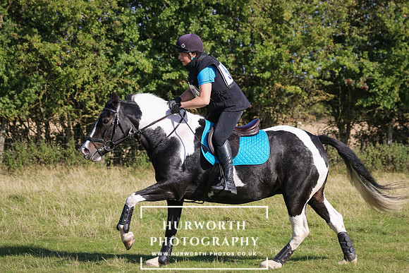 Hurworth Hunter Trial 380