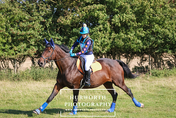 Hurworth Hunter Trial 619