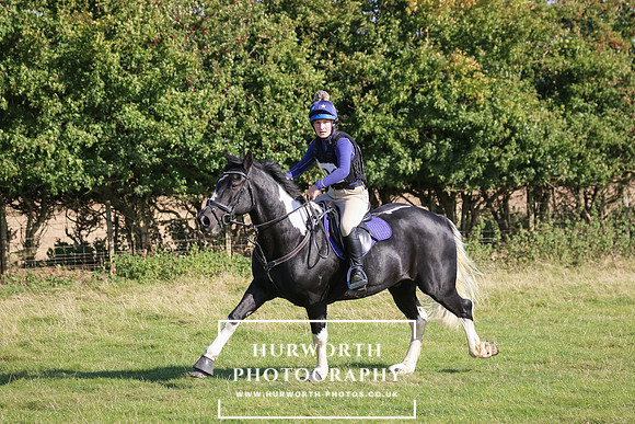 Hurworth Hunter Trial 650