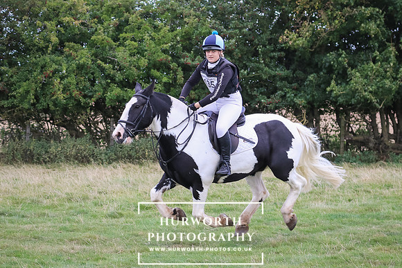 Hurworth Hunter Trial 290