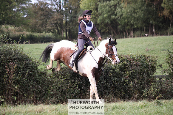 Hurworth Bilsdale Hedge Hop 642
