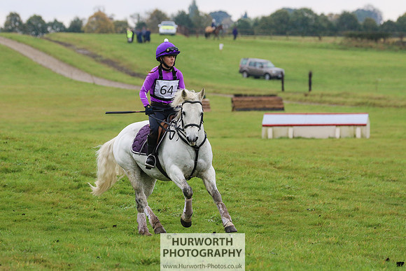 Hurworth Hunter Trial 137