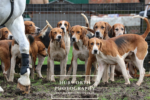 Hurworth Hunt 47