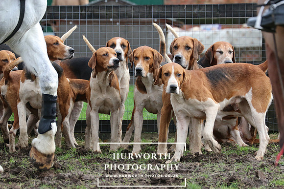 Hurworth Hunt 48