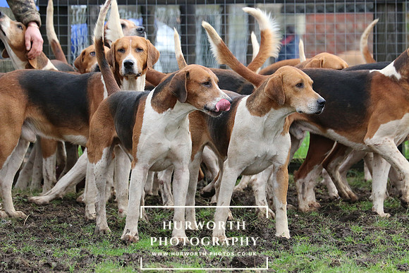 Hurworth Hunt 49