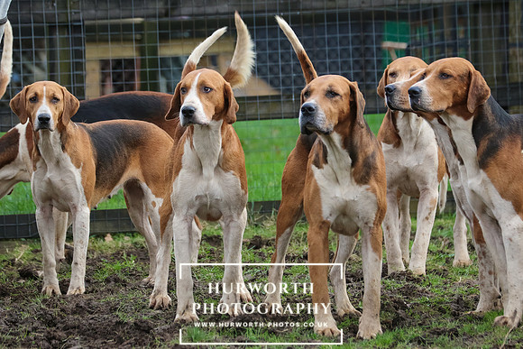 Hurworth Hunt 96