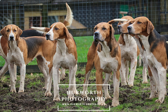 Hurworth Hunt 97