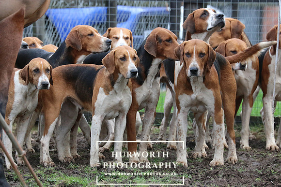 Hurworth Hunt 217