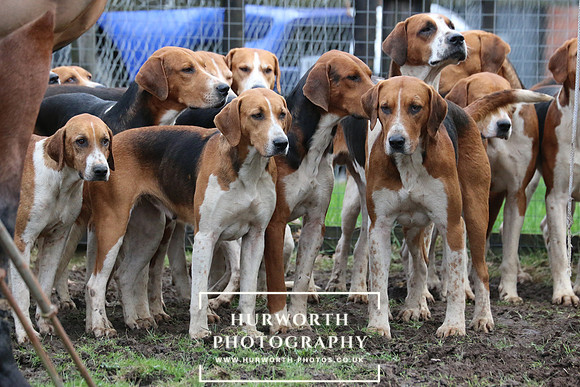 Hurworth Hunt 218